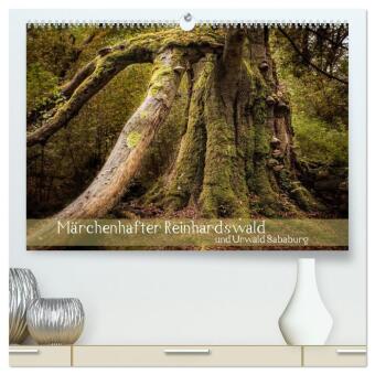 Märchenhafter Reinhardswald und Urwald Sababurg (hochwertiger...