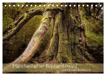 Märchenhafter Reinhardswald und Urwald Sababurg (Tischkalende...