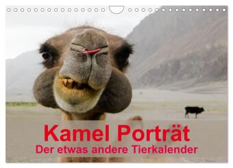 Kamel Porträt (Wandkalender 2027 DIN A4 quer), CALVENDO Monat...