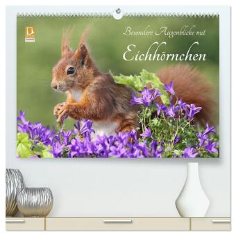 Besondere Augenblicke mit Eichhörnchen (hochwertiger Premium ...