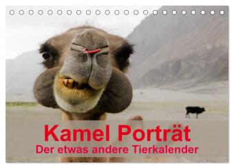 Kamel Porträt (Tischkalender 2027 DIN A5 quer), CALVENDO Mona...