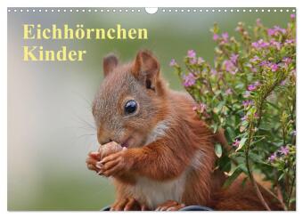 Eichhörnchen Kinder (Wandkalender 2027 DIN A3 quer), CALVENDO...