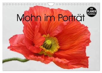 Mohn im Porträt (Wandkalender 2027 DIN A4 quer), CALVENDO Mon...
