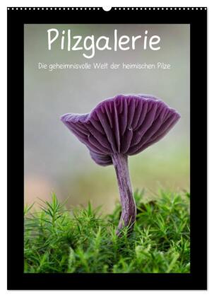 Pilzgalerie - Die geheimnisvolle Welt der heimischen Pilze (Wa...