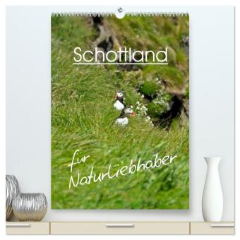 Schottland für Naturliebhaber (hochwertiger Premium Wandkalen...