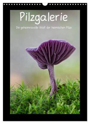 Pilzgalerie - Die geheimnisvolle Welt der heimischen Pilze (Wa...