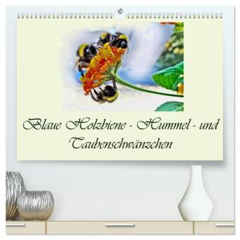 Blaue Holzbiene - Hummel - und Taubenschwänzchen. (hochwertig...