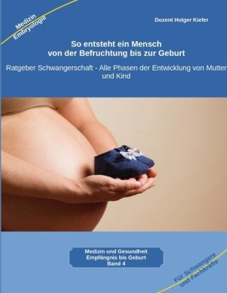 So entsteht ein Mensch - von der Befruchtung bis zur Geburt