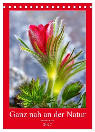 Ganz nah an der Natur (Tischkalender 2027 DIN A5 hoch), CALVEN...