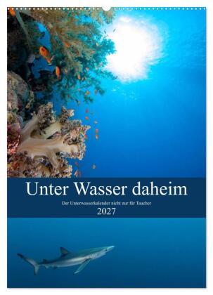 Unter Wasser daheim (Wandkalender 2027 DIN A2 hoch), CALVENDO ...