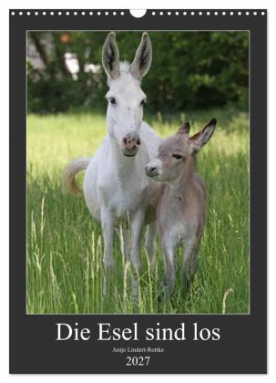 Die Esel sind los (Wandkalender 2027 DIN A3 hoch), CALVENDO Mo...