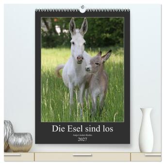Die Esel sind los (hochwertiger Premium Wandkalender 2027 DIN ...