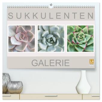 Sukkulenten Galerie (hochwertiger Premium Wandkalender 2027 DI...