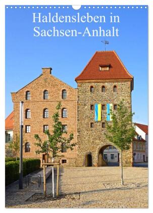 Haldensleben in Sachsen-Anhalt (Wandkalender 2027 DIN A3 hoch)...