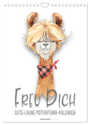 Freu Dich - Gute-Laune-Motivations-Kalender (Wandkalender 2027...