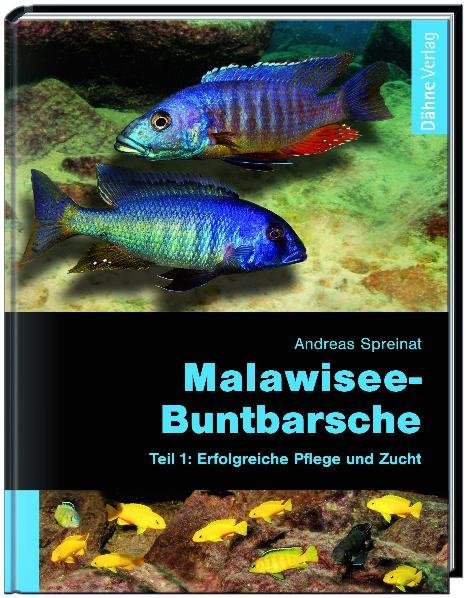 Malawisee-Buntbarsche. Tl.1. Tl.1 main product photo