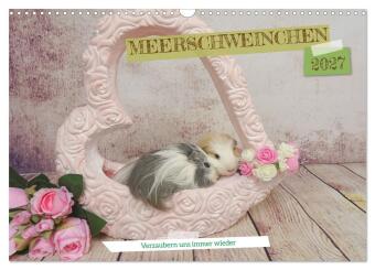 MEERSCHWEINCHEN verzaubern uns immer wieder (Wandkalender 2027...