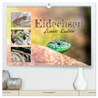 Eidechsen, flinke Räuber (hochwertiger Premium Wandkalender 2...