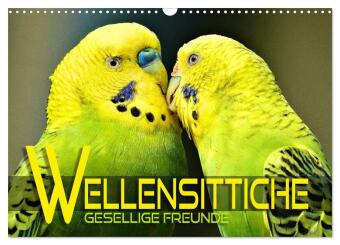Wellensittiche - gesellige Freunde (Wandkalender 2027 DIN A3 q...