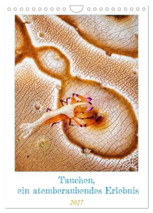 Tauchen, ein atemberaubendes Erlebnis (Wandkalender 2027 DIN A...