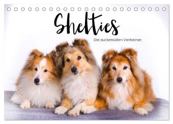 Shelties - Die zuckersüßen Vierbeiner. (Tischkalender 2027 D...