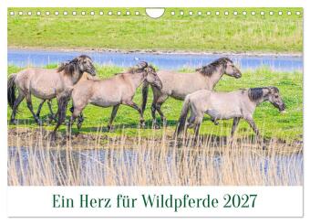 Ein Herz für Wildpferde (Wandkalender 2027 DIN A4 quer), CALV...