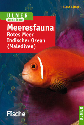 Meeresfauna Rotes Meer, Indischer Ozean (Malediven)