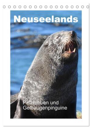 Neuseelands Pelzrobben und Gelbaugenpinguine (Tischkalender 20...