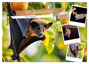 Fledermäuse - kleine Vampire (Wandkalender 2027 DIN A3 quer),...