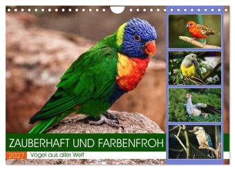 Zauberhaft und farbenfroh (Wandkalender 2027 DIN A4 quer), CAL...