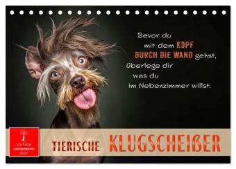 Tierische Klugscheißer (Tischkalender 2027 DIN A5 quer), CALV...