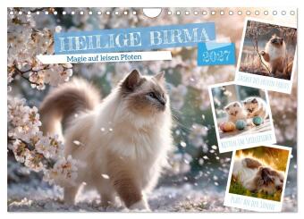 Heilige Birma - Magie auf leisen Pfoten (Wandkalender 2027 DIN...