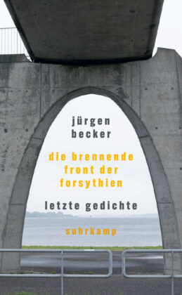 Die brennende Front der Forsythien
