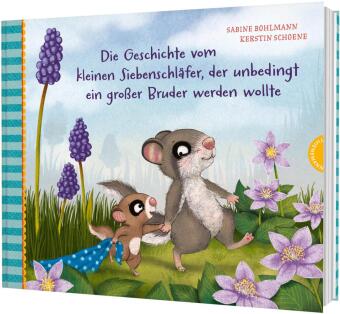 Der kleine Siebenschläfer 9: Die Geschichte vom kleinen Siebenschläfer, der unbedingt ein großer Bruder werden wollte