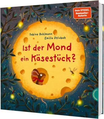 Ist der Mond ein Käsestück?
