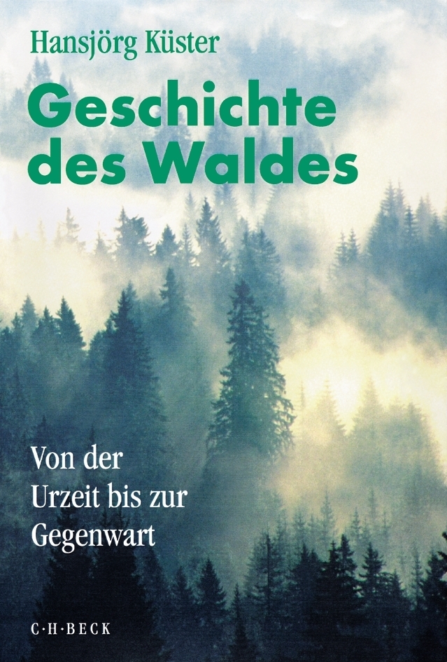 Geschichte des Waldes main product photo