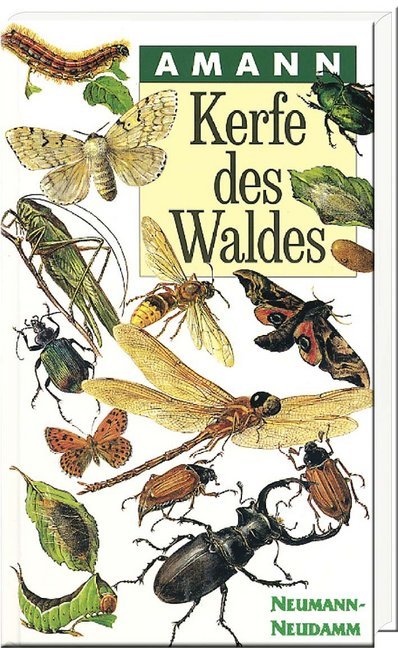 Kerfe des Waldes main product photo