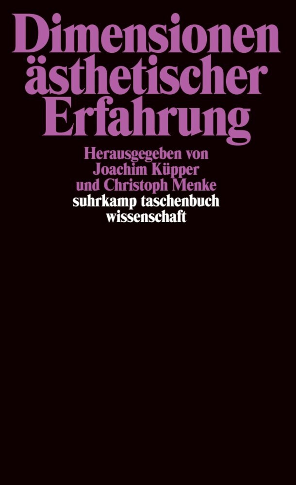 Dimensionen ästhetischer Erfahrung main product photo
