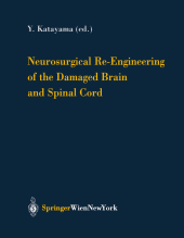 Neurosurgical Re-Engineering of the Damaged Brain and Spinal Cord. Pt.1