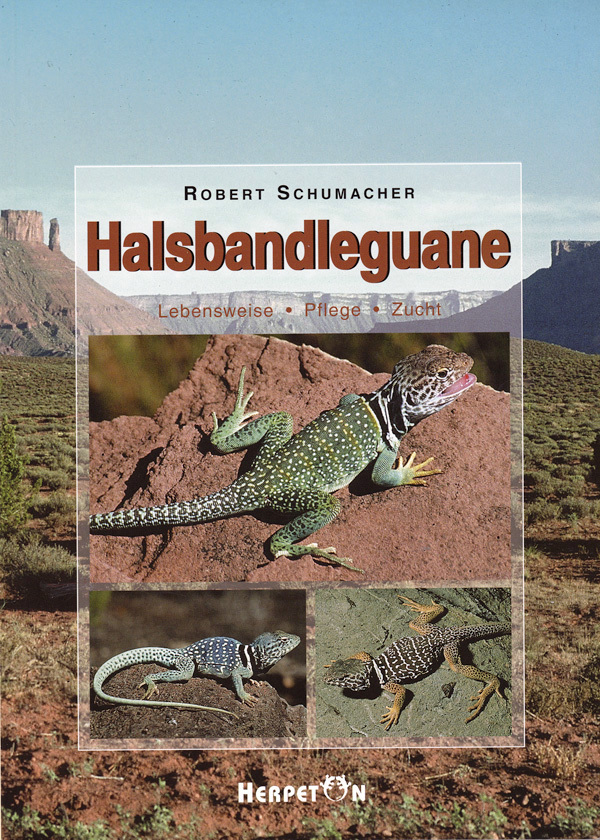 Halsbandleguane main product photo
