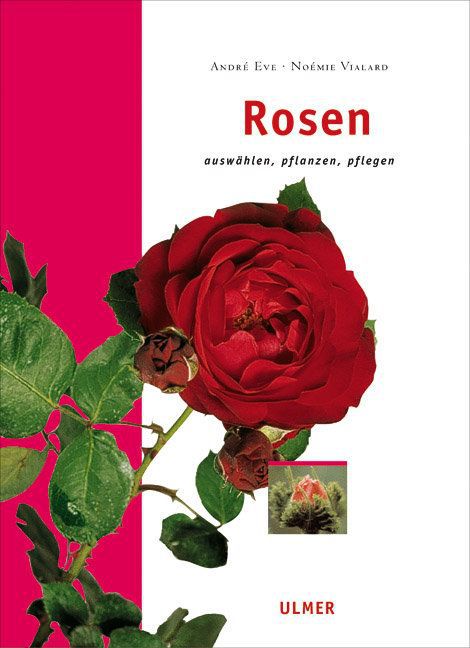Rosen main product photo