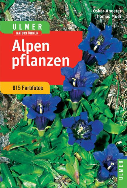 Alpenpflanzen main product photo