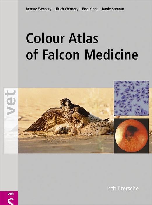 Colour Atlas of Falcon Medicine main product photo