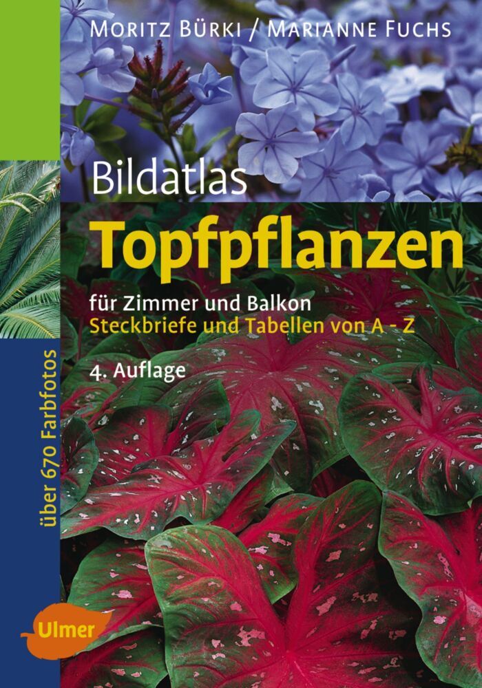 Topfpflanzen main product photo