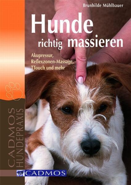 Hunde richtig massieren main product photo