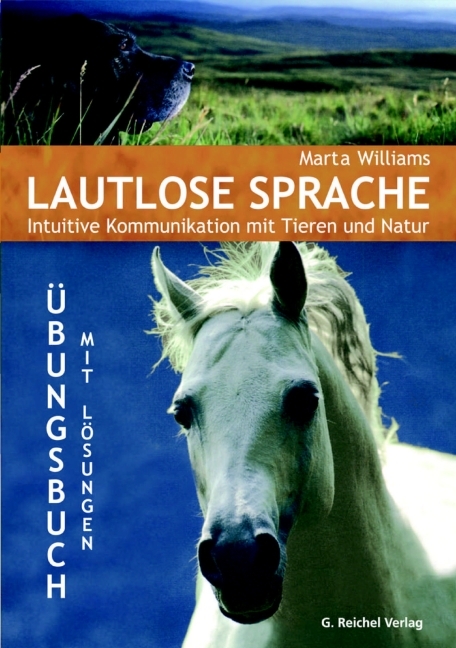 Lautlose Sprache main product photo