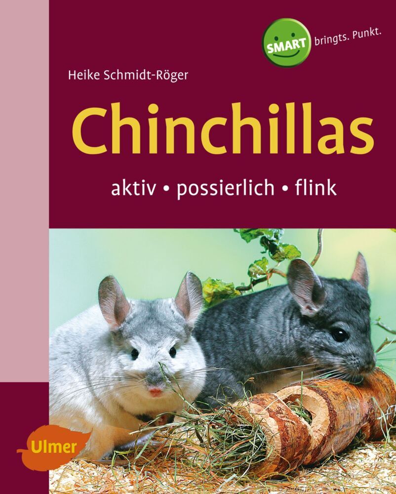 Chinchillas main product photo