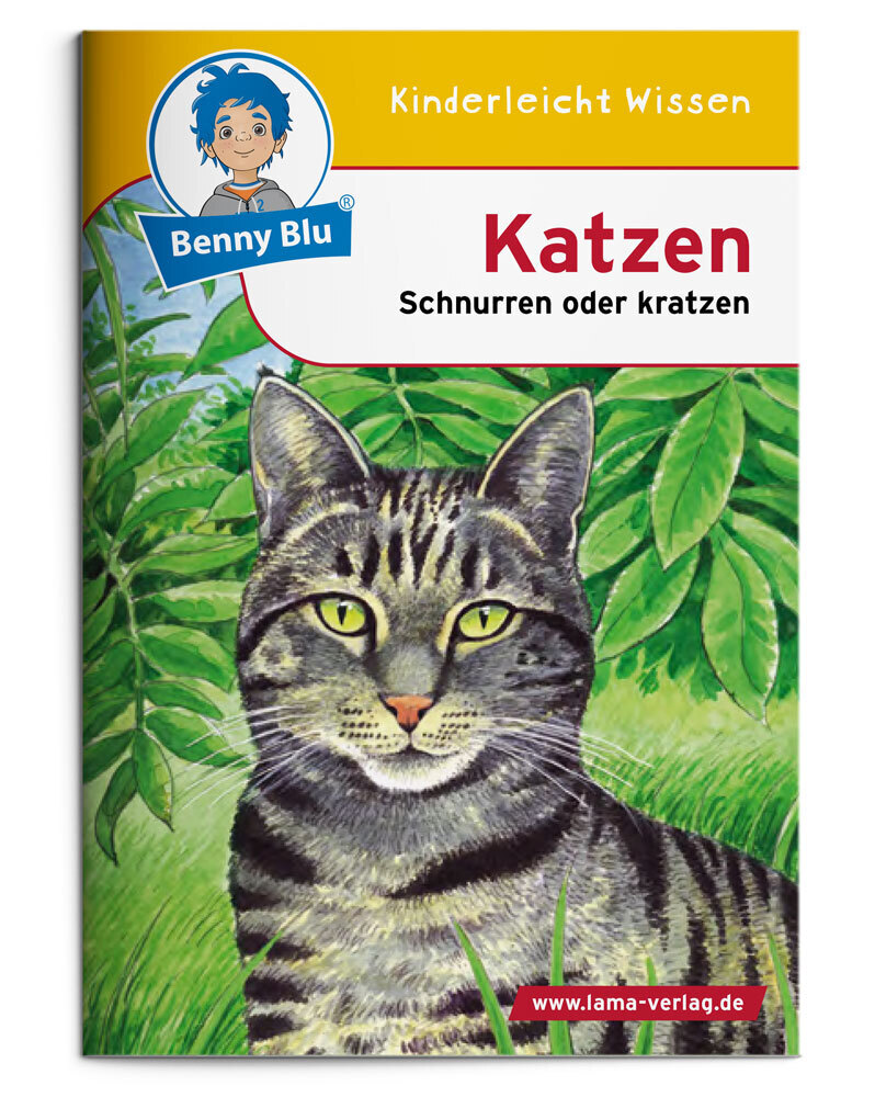 Benny Blu - Katzen main product photo