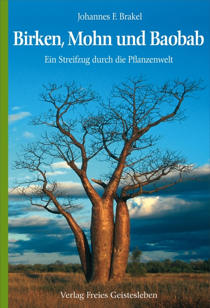Birken, Mohn und Baobab main product photo