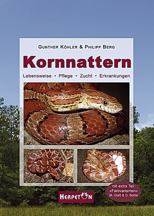 Kornnattern main product photo